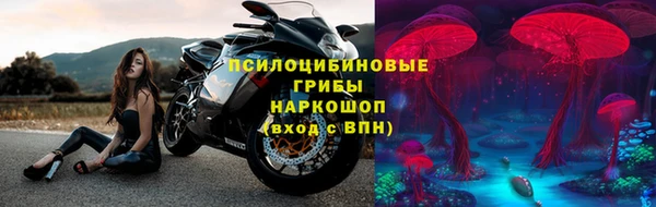 шишки Абинск