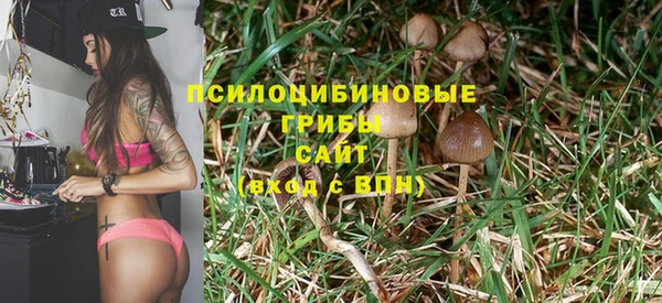 гашик Абаза