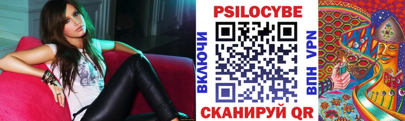 Галлюциногенные грибы Psilocybine cubensis  Шилка 